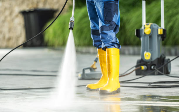Best House Pressure Washing  in Houghton, NY
