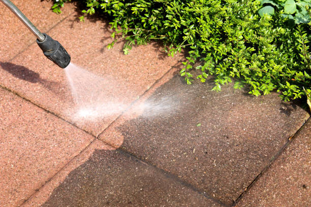 Best Affordable Pressure Washing  in Houghton, NY