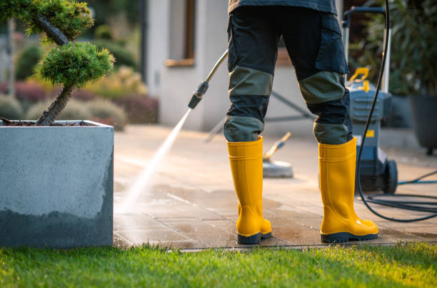 Best Deck Cleaning Services  in Houghton, NY